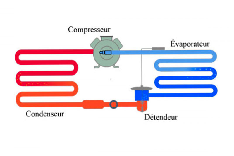 les organes du circuit frigorifique